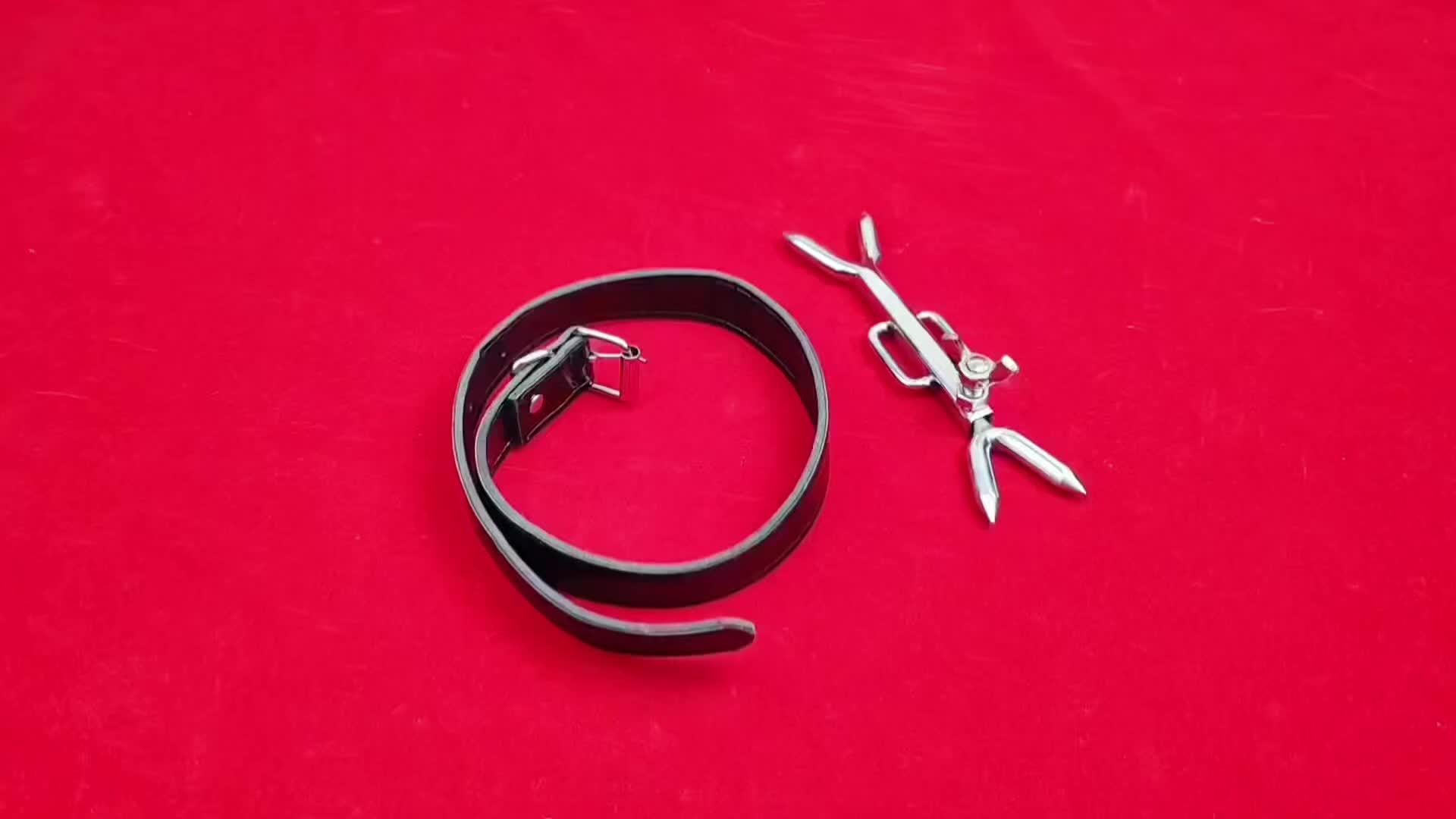 Chin Lock — Choker Fourchette Mentonnière