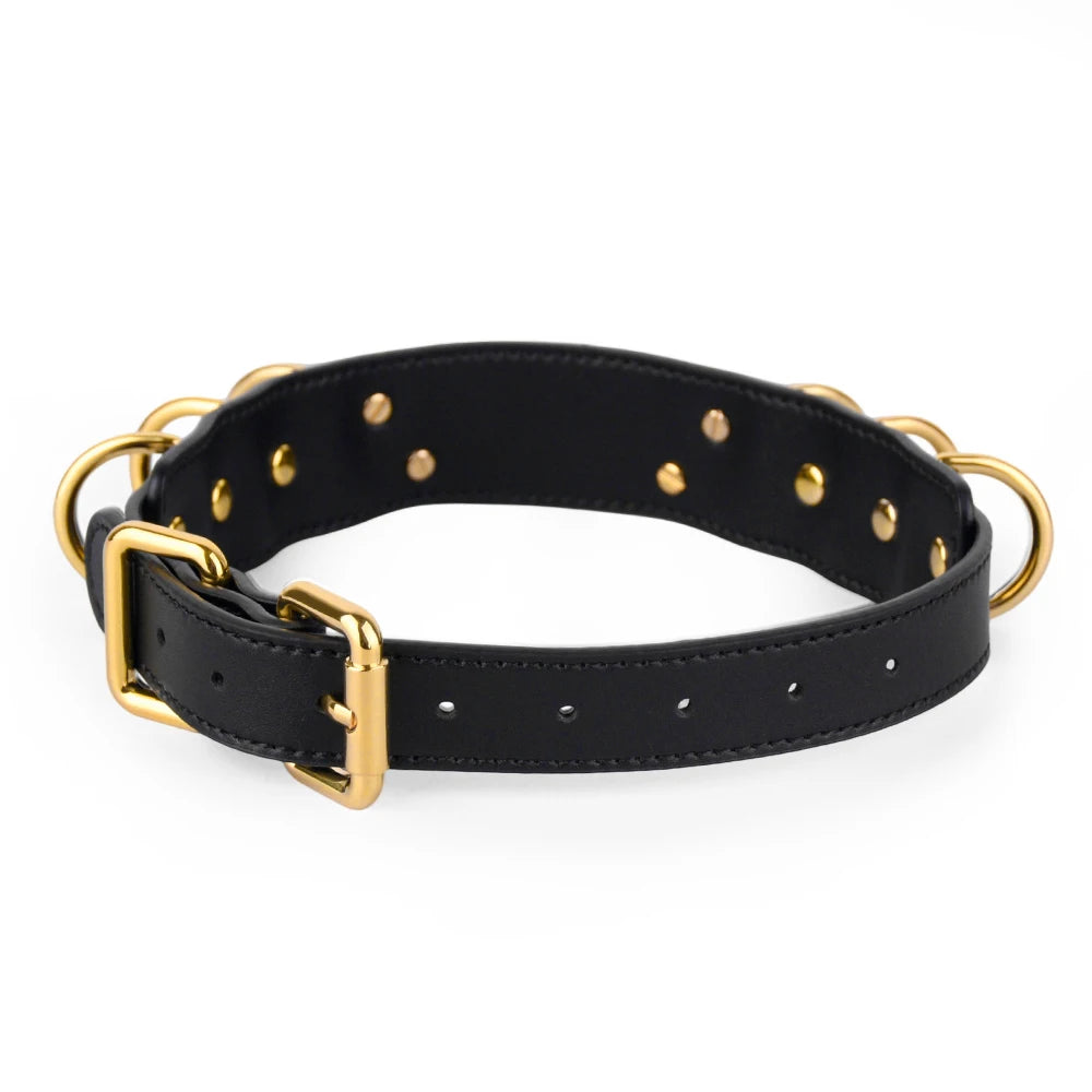Golden Loop — Collier BDSM Cuir avec Anneau O-Ring